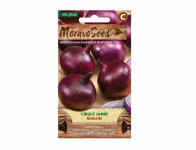 Spring onion seeds GRENADA, red - VÝPREDAJ
